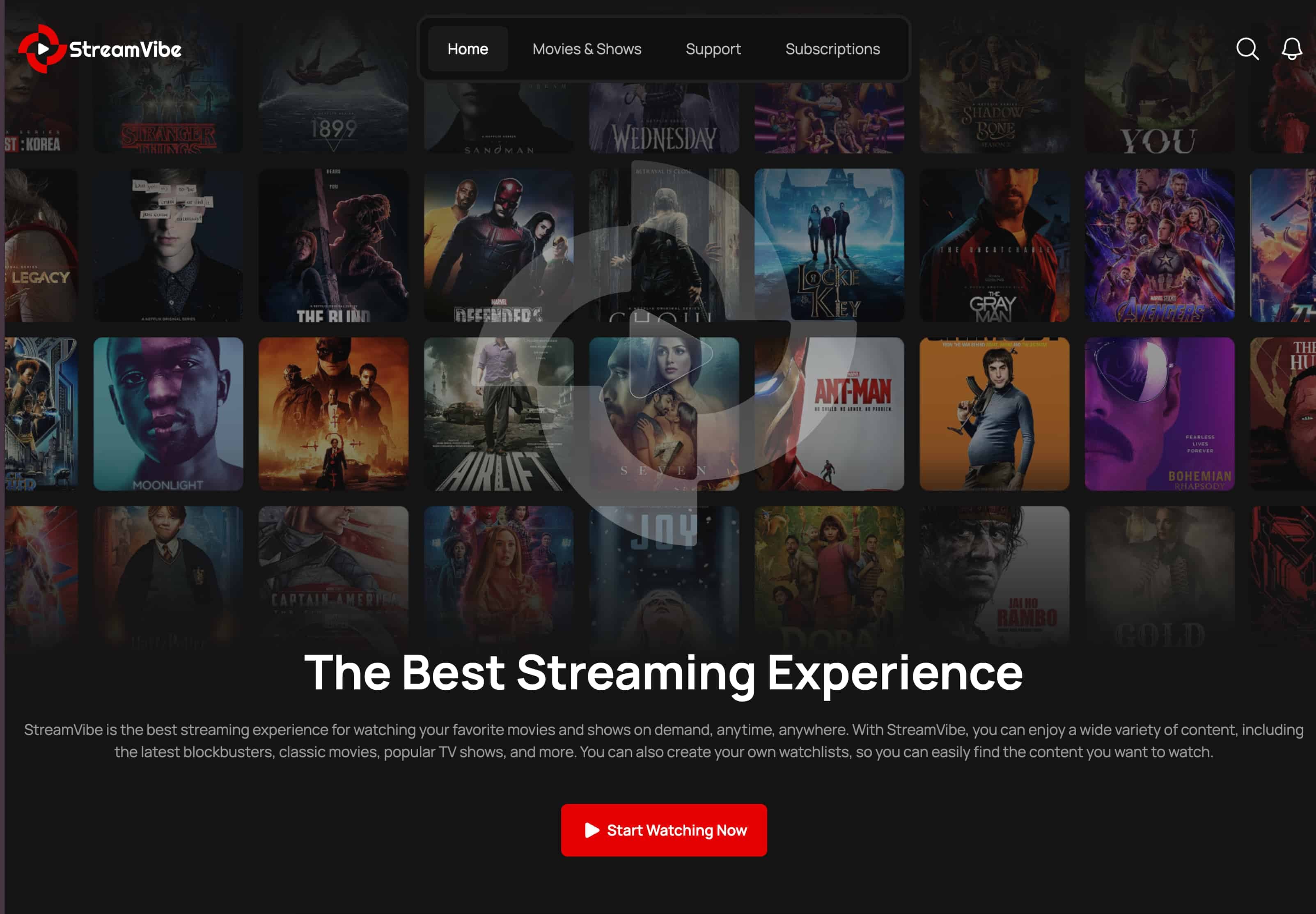 Screenshot streamovací služby StreamVibe